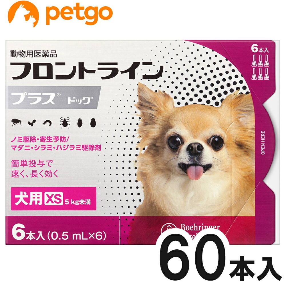 【10箱セット】犬用フロントラインプラスドッグXS 5kg未満 6本(6ピペット)(動物用医薬品)