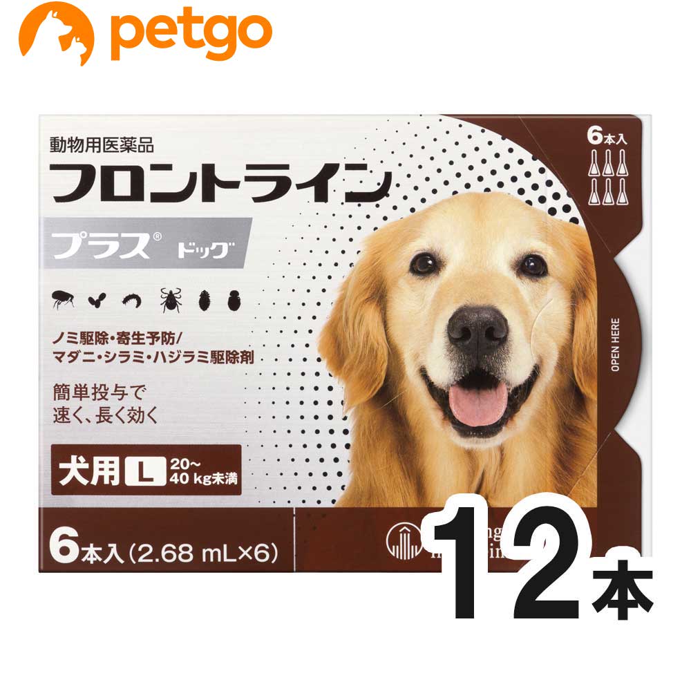 ペットゴー 動物用医薬品 犬用フロントラインプラスドッグl 使用期限 21年8月 あす楽 kg 40kg 犬用 kg 40kg 6本 6ピペット 動物用医薬品 2箱セット 店