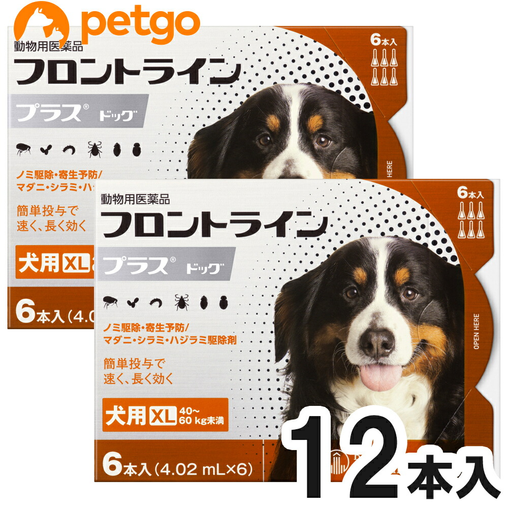 【2箱書き割り】犬用フロントラインプラスドッグXL 40kg～60kg 6本（6ピペット）（毛の荒物用飲み薬）