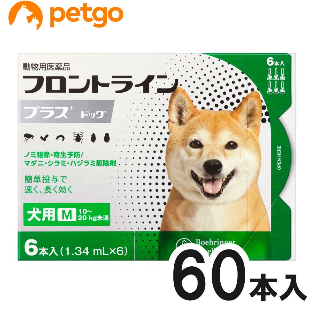 10kg kg 10箱セット あす楽 6本 6ピペット 動物用医薬品 使用期限 22年1月 あす楽 10kg kg 店 犬用フロントラインプラスドッグm 動物用医薬品 ペットゴー ノミ ダニ駆除薬