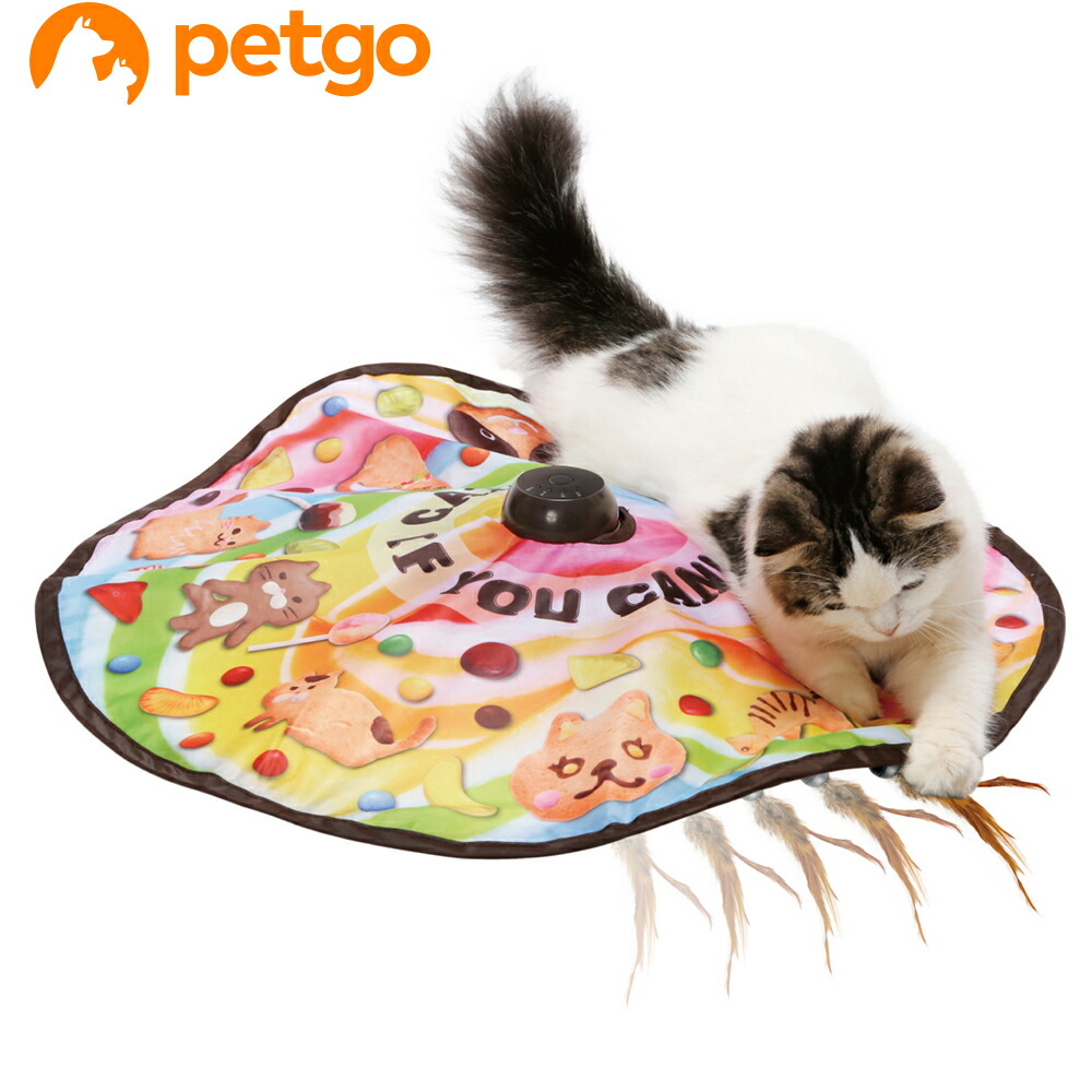 猫みい専用 16843.jpg