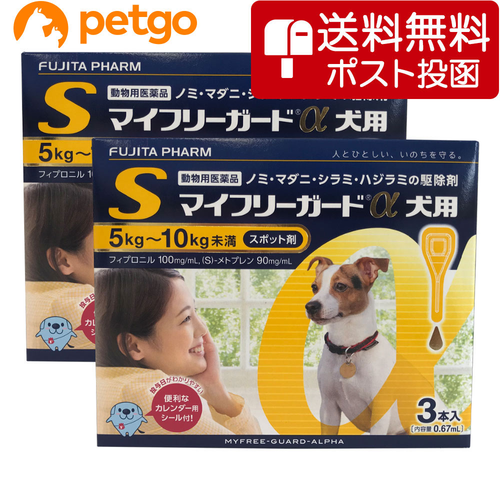 ファッション通販 ノミ マダニ駆除薬 マイフリーガードα 犬用 M 発 www.dexion.com.au