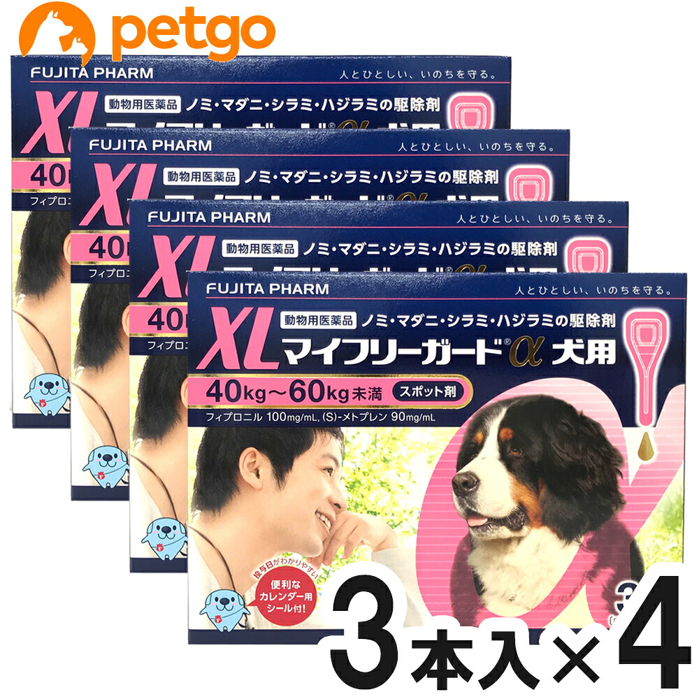 【4箱セット】マイフリーガードα 犬用 XL 40～60kg 3本（動物用医薬品）