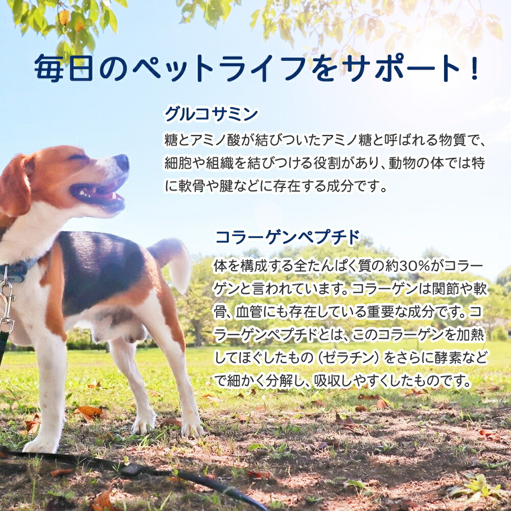 楽天市場 ベッツワン グルコサミン ビーフフレーバー 犬用 小粒 180粒 2個セット あす楽 ペットゴー 楽天市場店