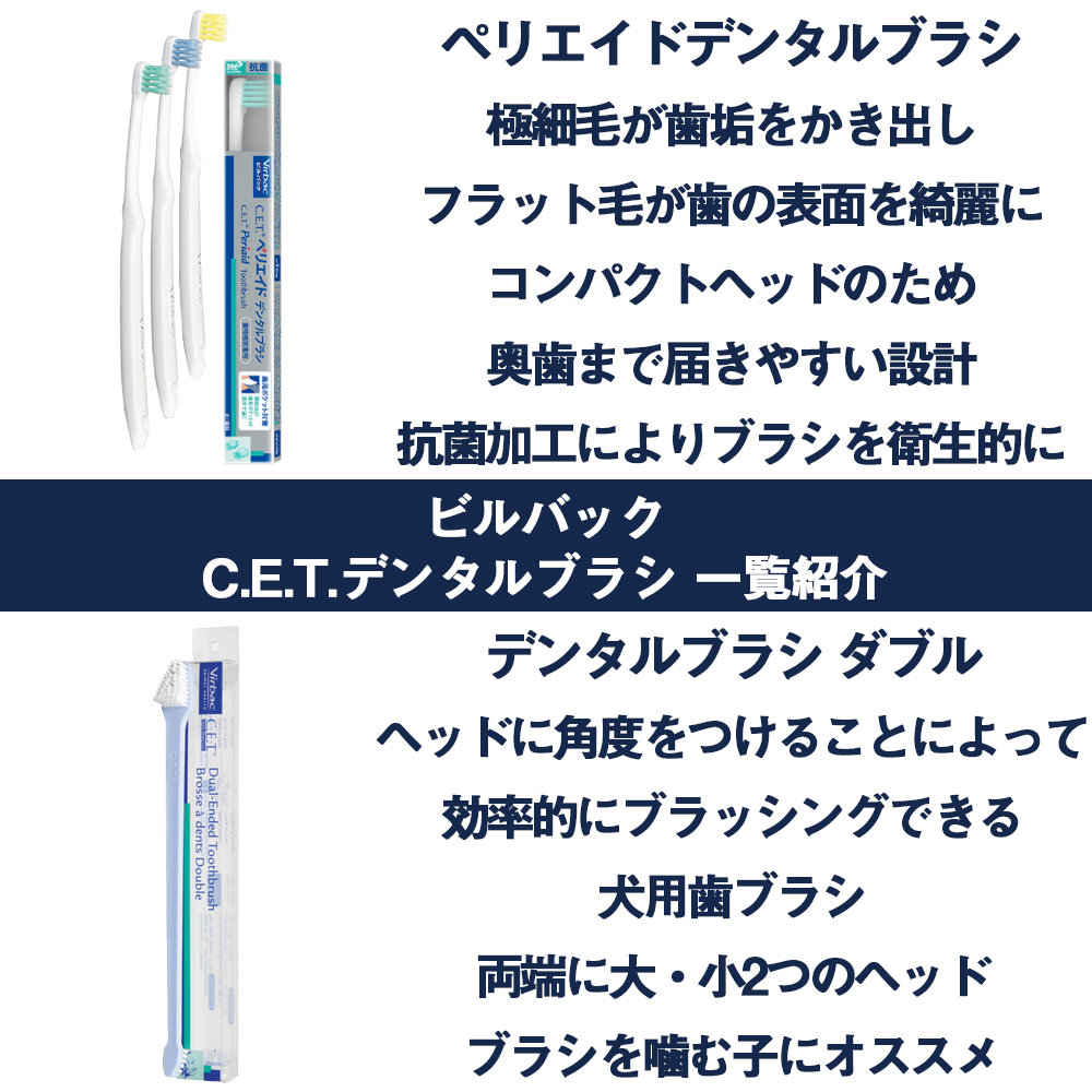 熱販売 ビルバック C.E.T.デンタルブラシダブル www.tgnewstv.it