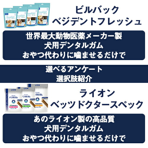 選べるアンケート1