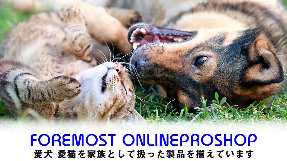 楽天市場 ライオン 犬用 Petkiss ベッツドクタースペック デンタルガム Xs 4個セット 送料無料 Petgoods フォアモスト