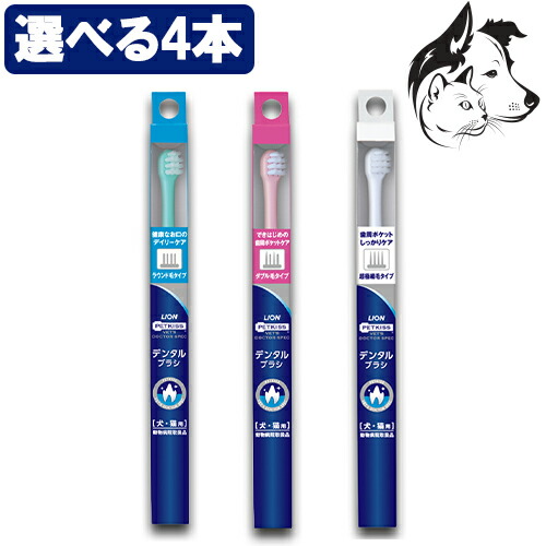 lion_brs_main_04.jpg