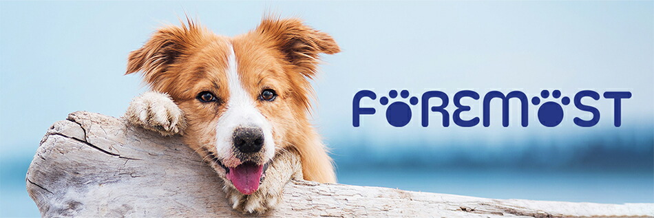 ڥå ե⥹ȡǭ²ȤưäιʼڥåʤϤޤ