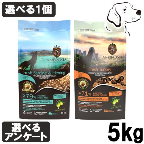 【マラソンは全商品P2倍以上】 アンブロシア HMN 愛犬用 5kg 選べる1個 送料無料|ペット用品 フォアモスト