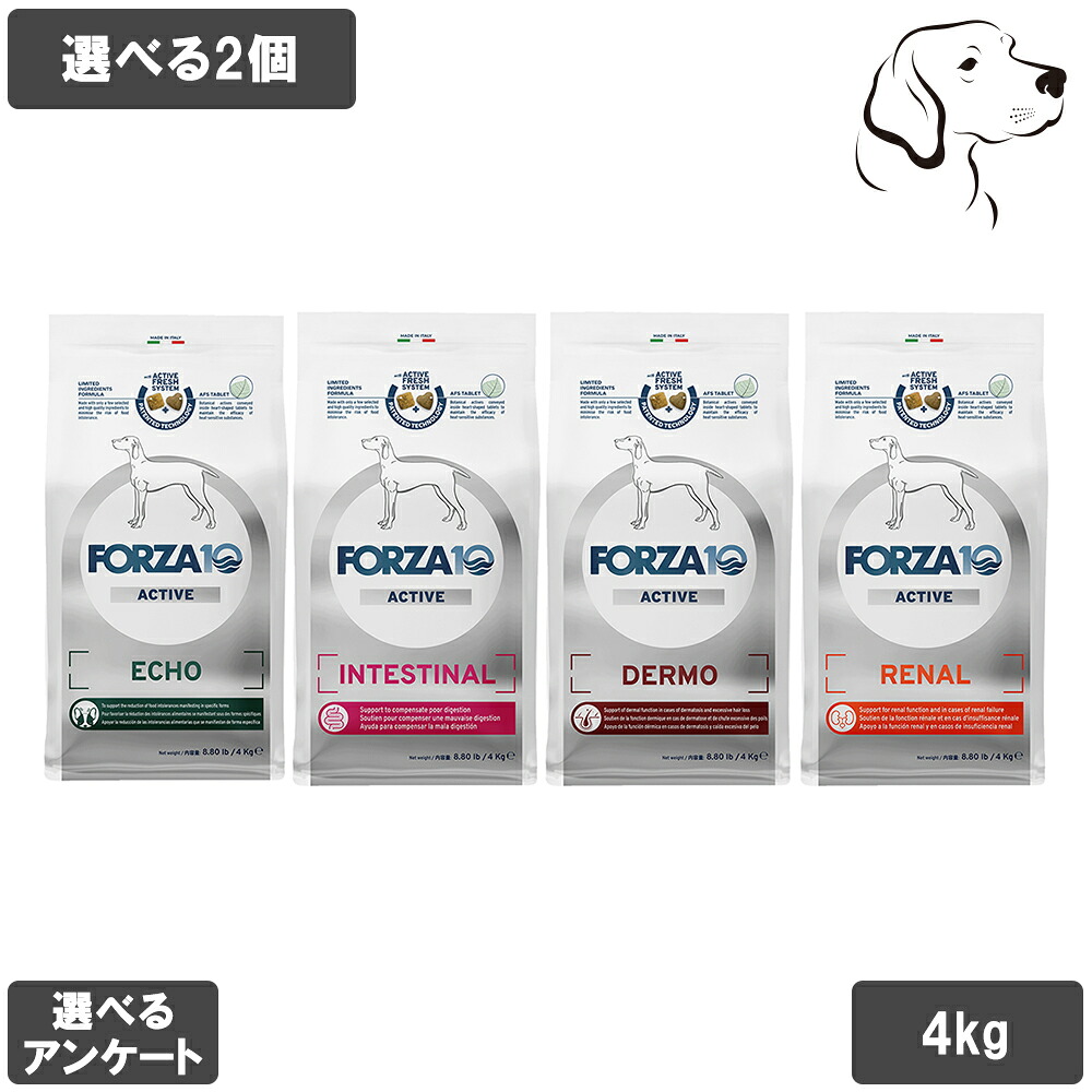 フォルツァ10 活動的続きもの 愛犬用 中粒 4kg 選べる2個 貨物輸送無料