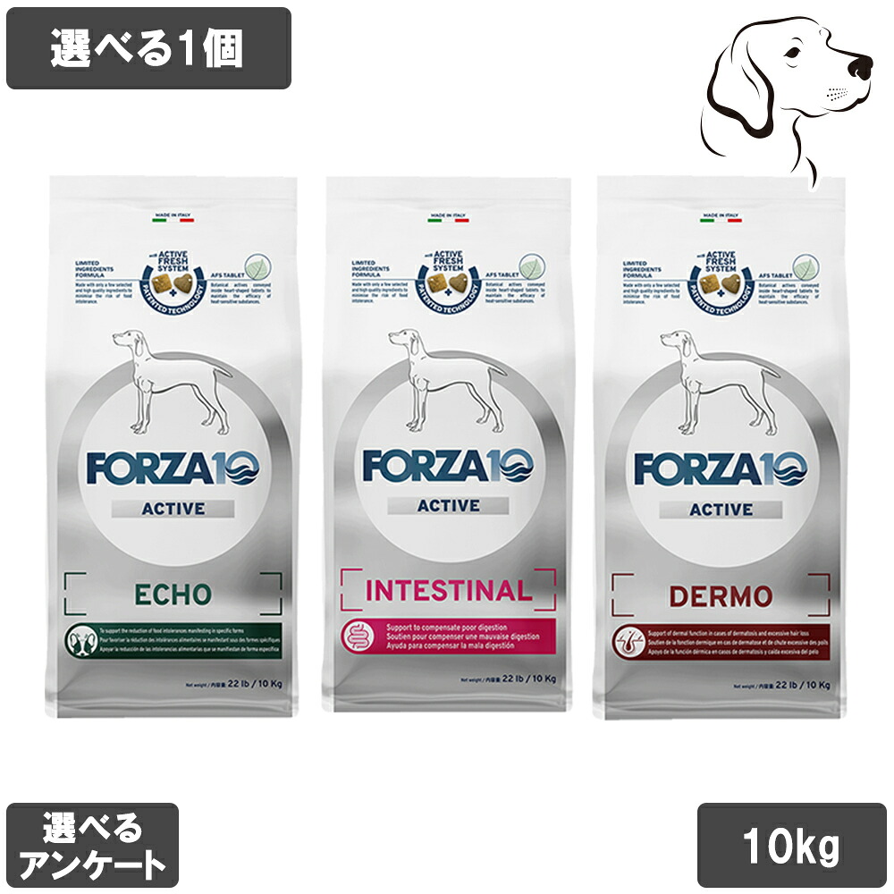 フォルツァ10 活動的続きもの 愛犬用 中粒 10kg 選べる1個 貨物輸送無料