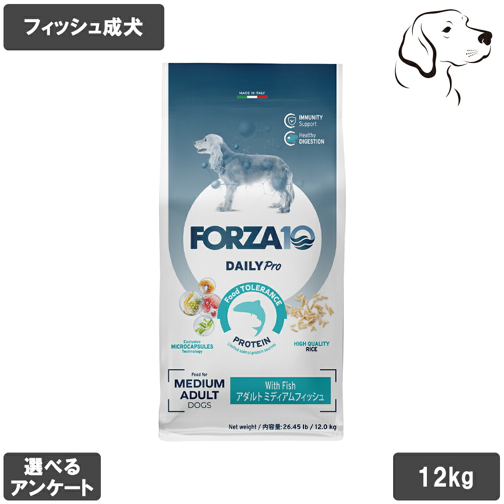 【マラソン中は全商いものP2倍以上】 フォルツァ10 デイリー労働者階級つづき物 成犬用 アダルトミディアム 銀鱗 中粒 12kg 貨物輸送有料 ドッグフード-ペット・ペットグッズ