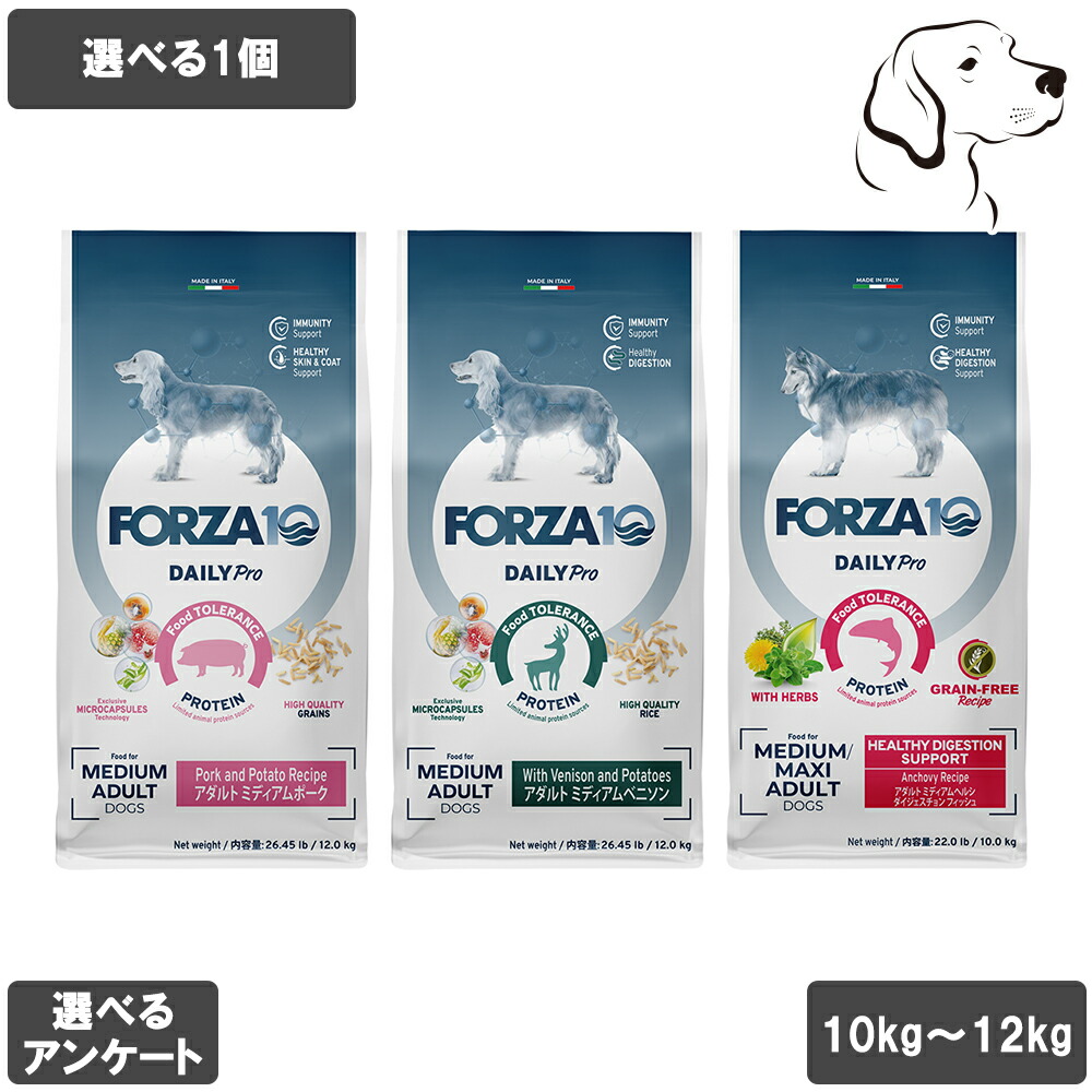 フォルツァ10 デイリー労働者階級つづき物 愛犬用 中粒 10kg / 12kg 選べる1個 貨物輸送無料