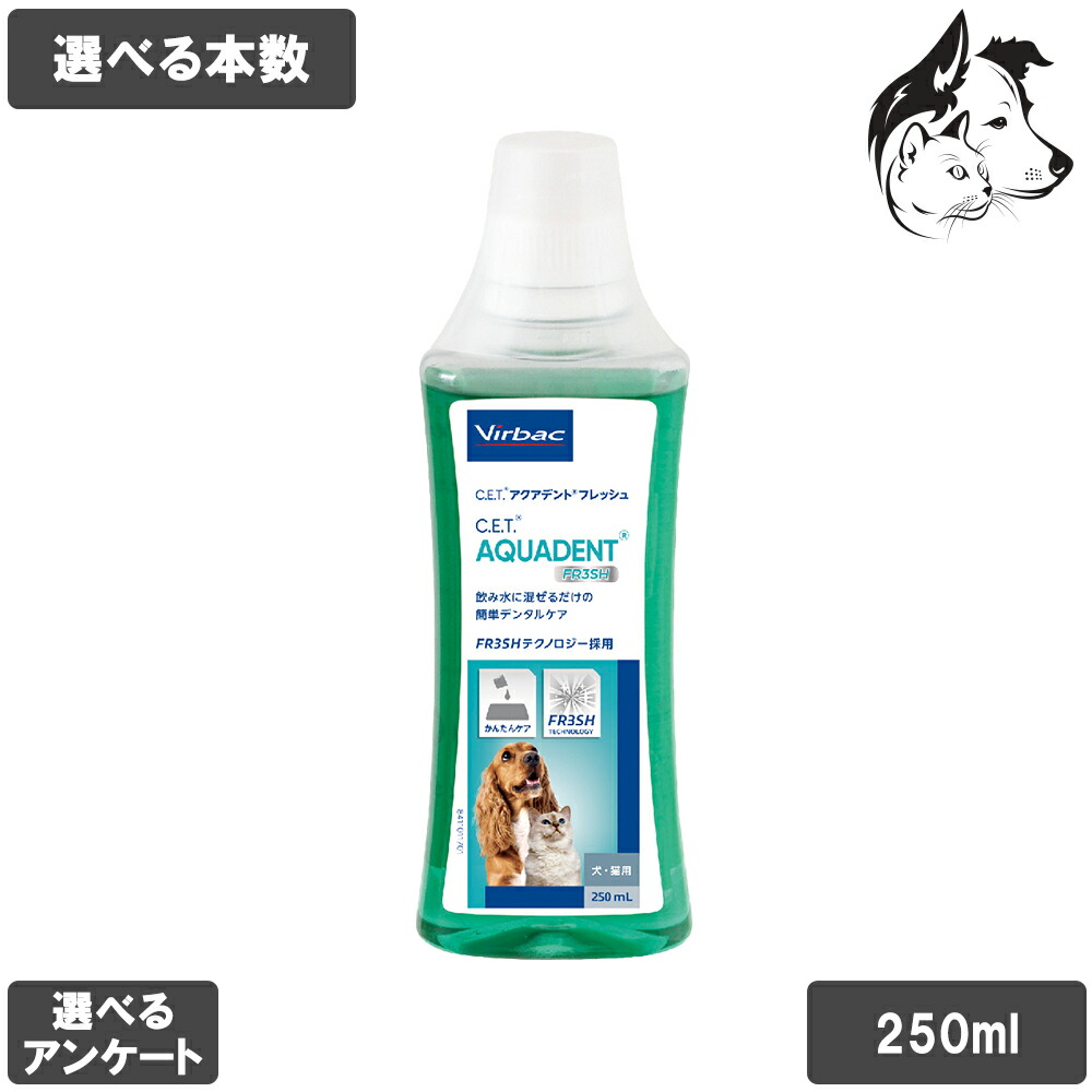 楽天市場】【1日は全商品P3倍以上】 ビルバック 愛犬用・愛猫用