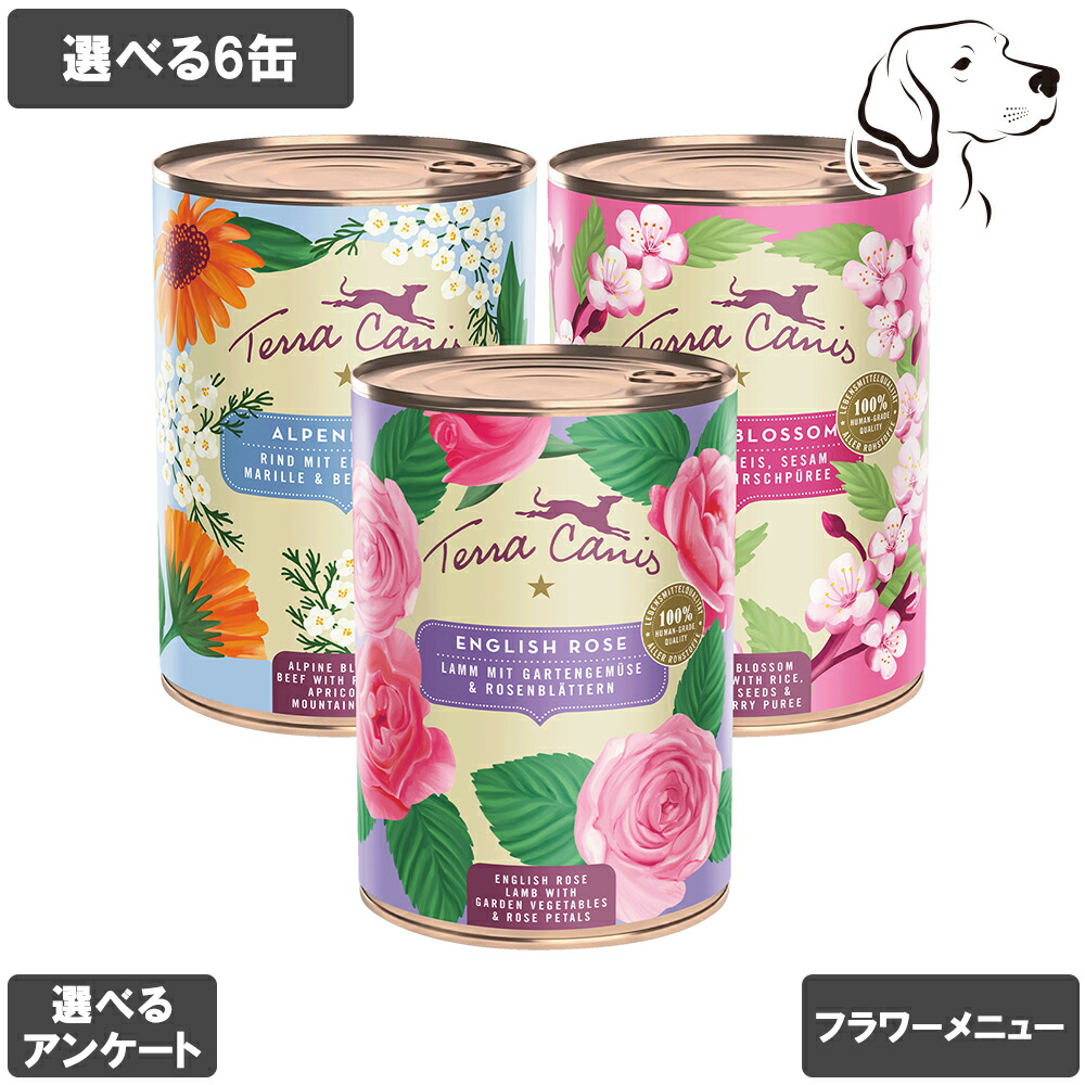 テラカニス 愛犬用 御花献立て表 400g 選べる6缶 貨物輸送無料
