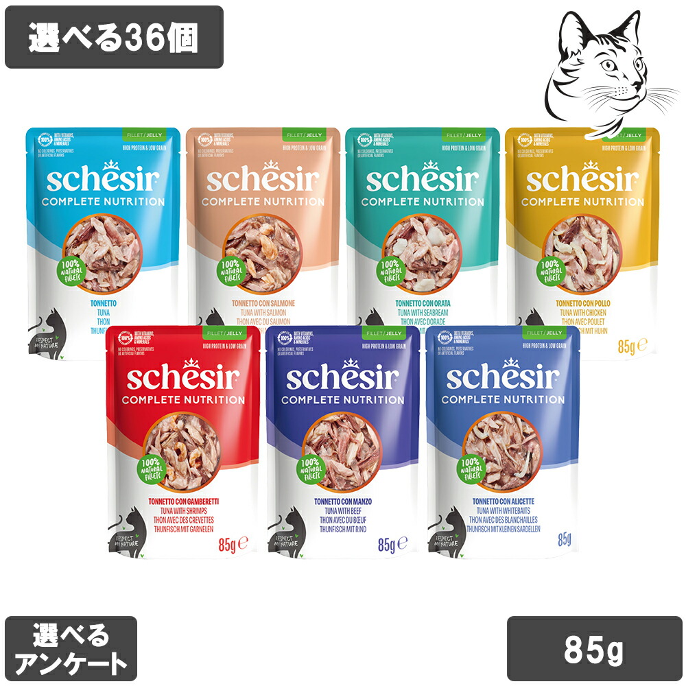 【RSS継続期間は全商いものP3倍以上】 シシア 愛猫用 合切袋 ジェリィ手合い 85g 選べる36個（ 12個×3箱 ） 貨物輸送無料