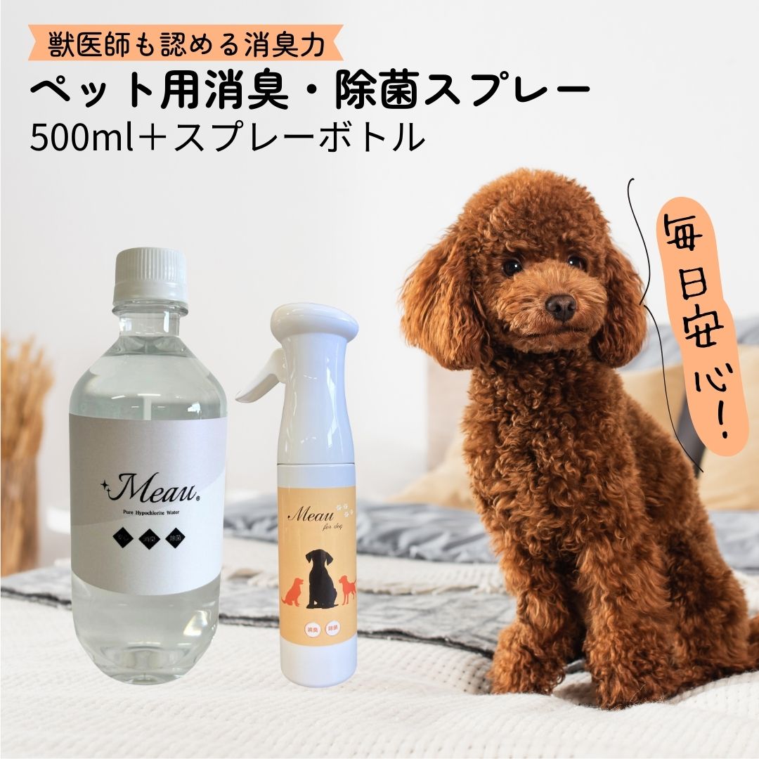 マモッシュ　次亜塩素酸水　ペット臭が気になる方へ　詰替3個 マモッシュ