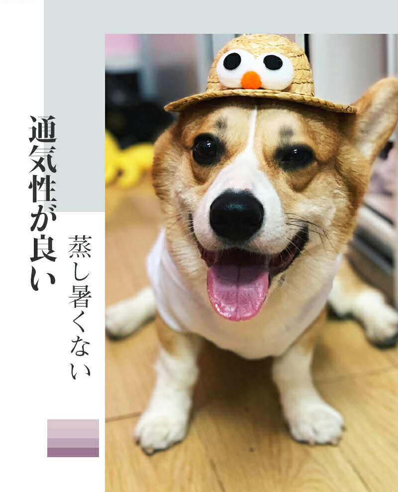 優先配送 ペット用麦わら帽子 竹とんぼ付き 麦わら帽子 可愛い 小型犬 中型犬 犬服 ネコ ペットウェア 犬用帽子 涼しい ペット用品 アクセサリー ペットグッズ ドッグウエア 犬用 猫用 キャット 調節可能 猫用帽子 日焼け防止 おでかけ お出かけ Ww2 Dbcollegethal Org