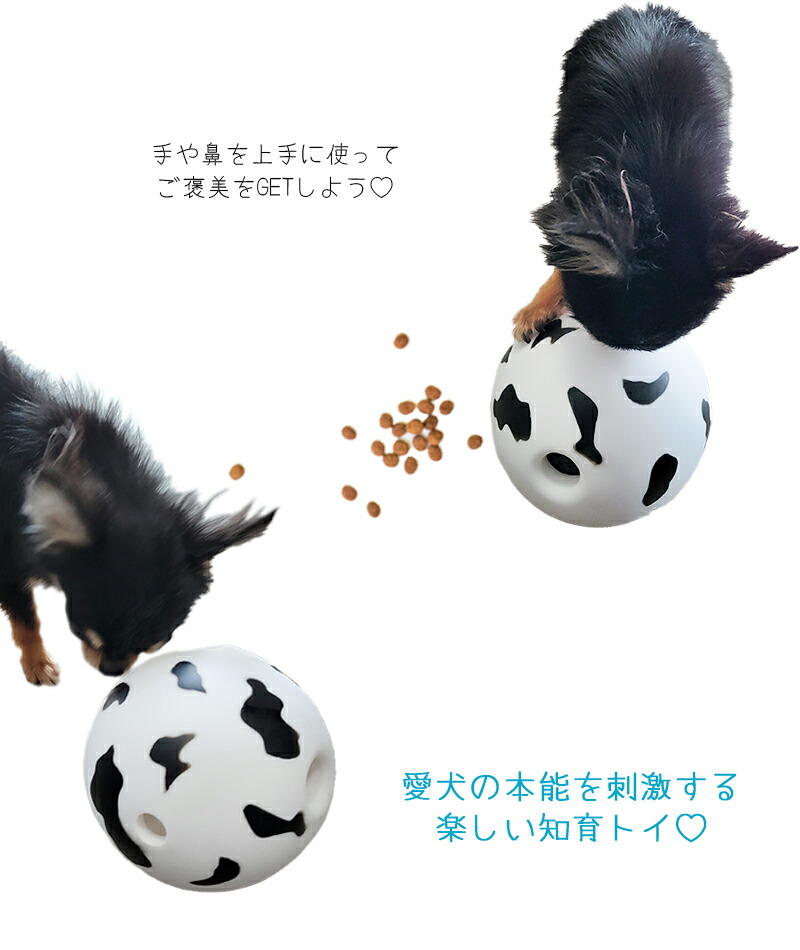 M-PETS PONGOインタラクティブドッグボール
