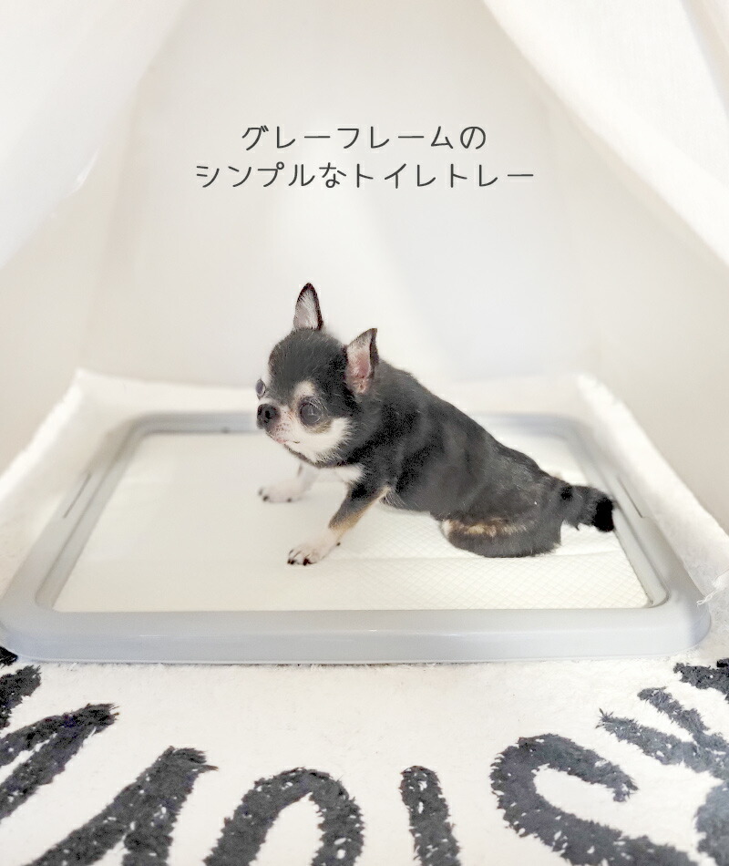 市場 犬 シンプル 小型犬 超小型犬 トイレトレー トイレ 子犬 掃除しやすい パピー トイレトレーニング