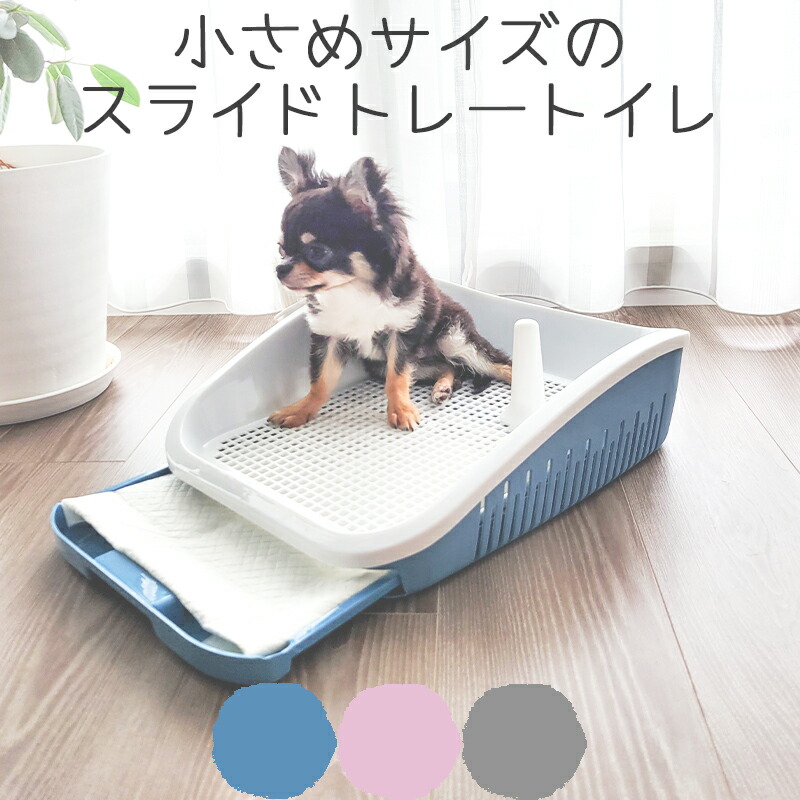 楽天市場】犬 マーキングポール メッシュ トイレ 囲い 飛び散りにくい トイレトレー おしゃれ 掃除しやすい 子犬 超小型犬 小型犬 パピー  トイレトレーニング Petifam オアシスドッグトイレ レギュラー イエロー ブルー : ペットグッズ専門店Petifam