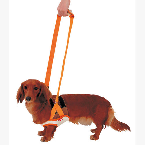 ペティオ zuttone ずっとね 老犬介護用 歩行補助ハーネス 前足用K M 胴輪 ハーネス 布地 犬 介護期 小型犬 ミニチュアダックス等 〜7kg 前足の筋力や視力が低下したときの歩行補助に Petio