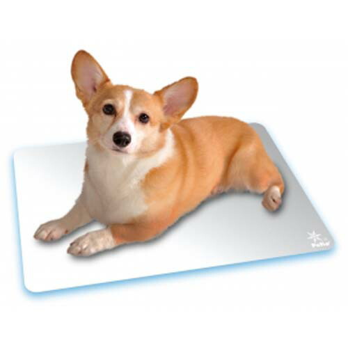 楽天市場 ペティオ クールアルミシート 2l アルミボード 犬猫用 イヌ ネコ 夏用 イヌ ネコ クールマット 全犬種 猫 アルミニウム 水も電気も使わず 乗るだけでひんやり爽快 Petio Petio Online Shop 楽天市場店