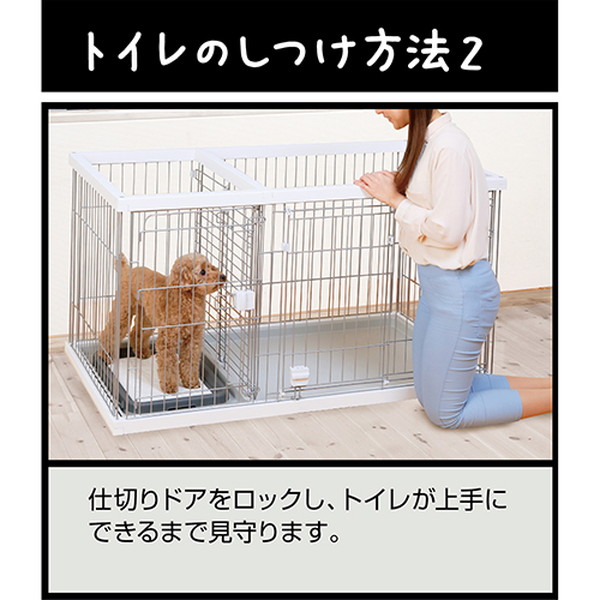 即納 最大半額 大型 ぺティオ 子犬飼育セット ドッグルームサークル ホワイト ワイド 他３点 ロイヤルカナン付 別途大型手数料 同梱不可 代引不可 ２個口 Hls Du 国内配送 Ihmc21 Com