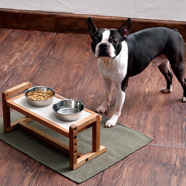 楽天市場】アドメイト ヴィラフォート ダイニングドッグテーブル 超小型犬〜中型犬 食器 食事台 樹脂 抗菌 高さ調整 Add.mate : Petio  Online Shop 楽天市場店