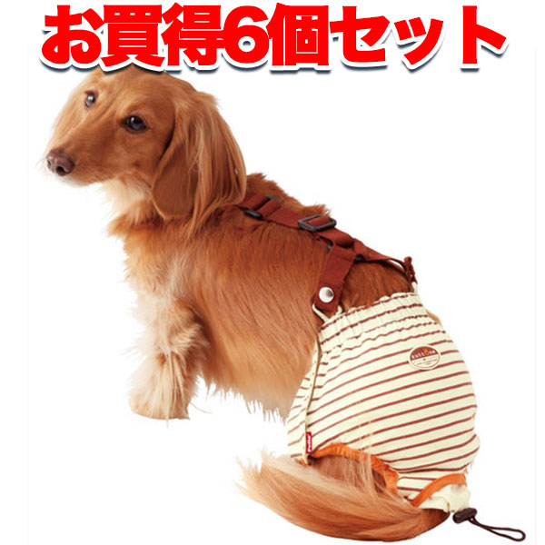 【楽天市場】ペティオ zuttone ずっとね 老犬介護用 おむつパンツ M 介護用品 犬 シニア期〜介護期 小型犬 ミニチュアダックス等 〜7kg  体力が低下したときなどのおもらし対策に Petio シニア : Petio Online Shop 楽天市場店