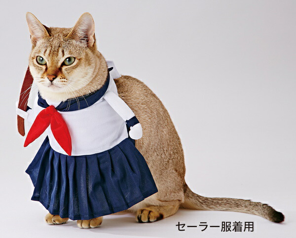 楽天市場 ペティオ 猫用変身着ぐるみウェア 服 チアリーダー キャットウェア コスプレ アクセサリー 猫 ネコ 短毛猫 長毛猫 前足を通すだけ まるで2本足で立っているみたい Sns ブログの撮影にもピッタリ 手洗い可能 Petio Petio Online Shop 楽天市場店