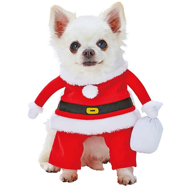 ペティオ クリスマス 諜者甲斐変身参着ぐるみ衣裳 サンタポーター S 超小型犬 小型犬 犬 短ウール犬 長毛犬 犬おべべ コスプレ Petio Hotjobsafrica Org
