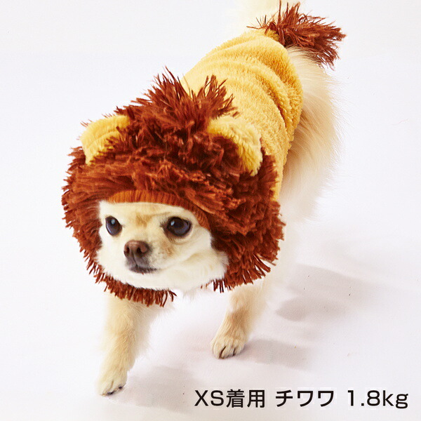 Petio Online Shop As For Small Dog Small Size Dog Miniature