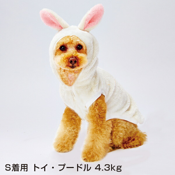 Petio Online Shop As For Small Dog Small Size Dog Miniature