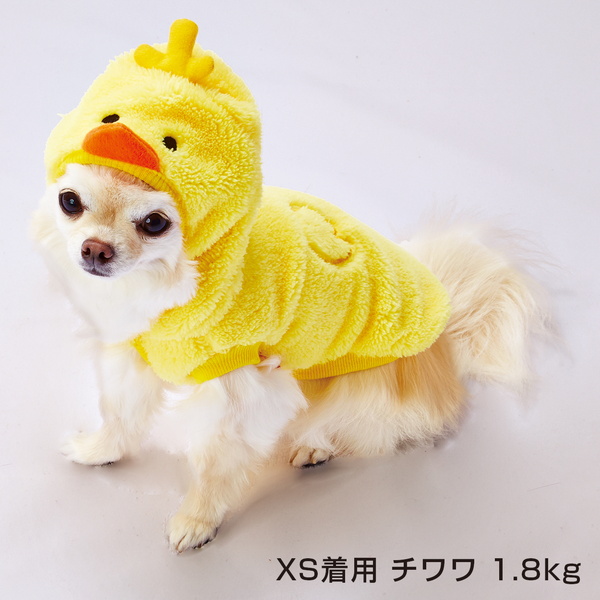 Petio Online Shop As For Small Dog Small Size Dog Chihuahua