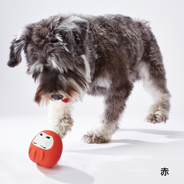 楽天市場 アドメイト 開運だるまラテックス 緑 健康 スポーツ上達 犬用おもちゃ 玩具 超小型犬 小型犬 Add Mate Petio Online Shop 楽天市場店