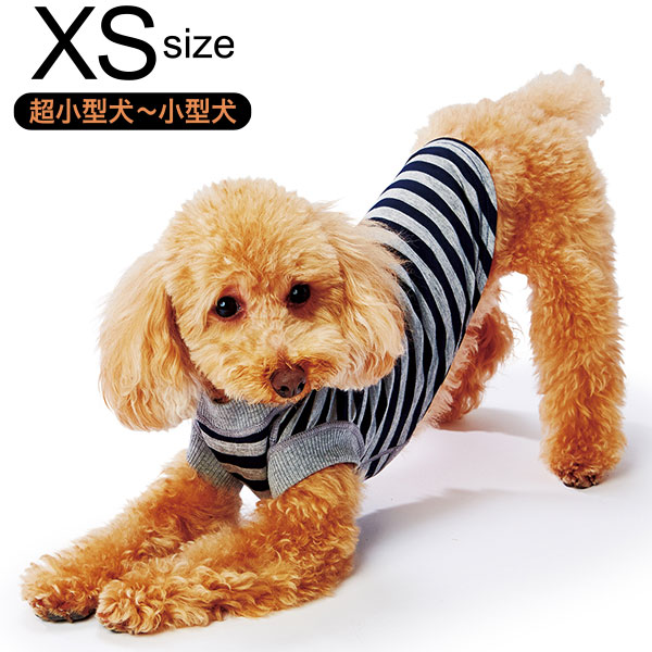 楽天市場 ペティオ E Stretch スキンｔシャツ ダークブルーボーダー Xs 超小型犬 小型犬 短毛 長毛 イヌ アパレル 犬服 ウェア Petio Petio Online Shop 楽天市場店