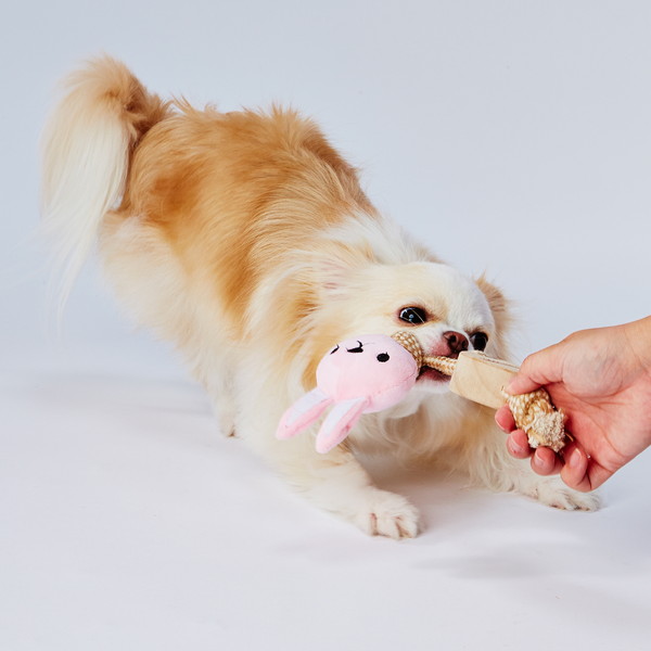 楽天市場 アドメイト Natural Floss ナチュラルフロス ウッディロープアニマル うさぎ 犬用おもちゃ 超小型犬 小型犬 玩具 木製 Add Mate Petio Online Shop 楽天市場店