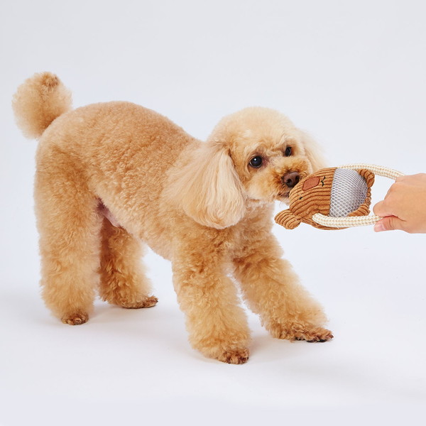 楽天市場 アドメイト 犬用おもちゃ ふわふわデンタルロープぬいぐるみ こあら 全年齢 超小型犬 小型犬 玩具 笛付き Add Mate Petio Online Shop 楽天市場店 楽天市場 アドメイト 犬用おもちゃ ふわふわデンタルロープぬいぐるみ こあら 全年齢 超小型犬 小型犬 玩具 笛付き Add Mate Petio Online Shop 楽天市場店