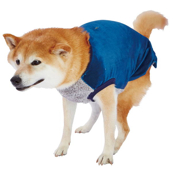 ペティオ 犬用ウェア 抗菌防臭 E Stretch イーストレッチ おなかウォームスムーストレーナー ブルー S 小型犬 短毛 長毛 服 Petio W 当店限定販売