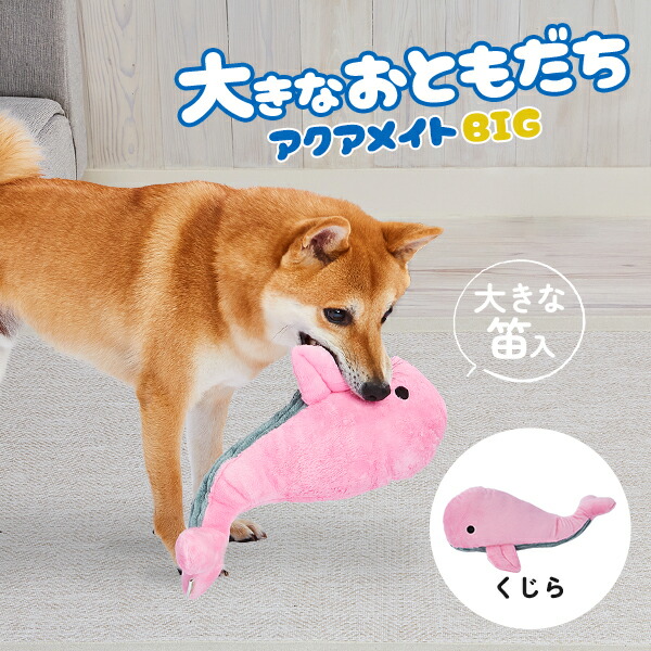 楽天市場】ペティオ 犬用おもちゃ 編んでるCORNデンタル M | Petio 編
