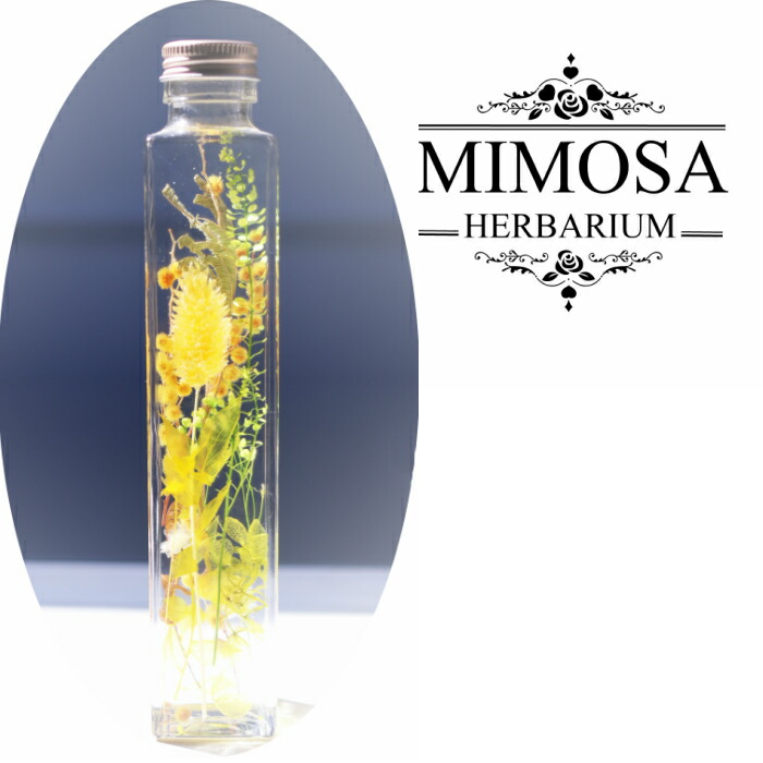 楽天市場 送料無料 ハーバリウム角瓶 ３本セット 母の日 父の日 敬老 還暦 キラキラ ラインストーン 誕生日プレゼント 花 プリザーブドフラワー カーネーション バラ 義理の母 祖母 親友 姉妹 内祝い ピンク 赤 イエロー ブルー ミモザ アジサイ メリクリサ スター