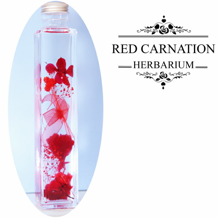 楽天市場 送料無料 ハーバリウム角瓶 ３本セット 母の日 父の日 敬老 還暦 キラキラ ラインストーン 誕生日プレゼント 花 プリザーブドフラワー カーネーション バラ 義理の母 祖母 親友 姉妹 内祝い ピンク 赤 イエロー ブルー ミモザ アジサイ メリクリサ スター