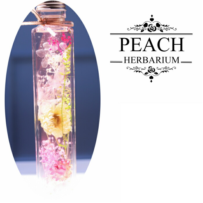 楽天市場 送料無料 ハーバリウム角瓶 ３本セット 母の日 父の日 敬老 還暦 キラキラ ラインストーン 誕生日プレゼント 花 プリザーブドフラワー カーネーション バラ 義理の母 祖母 親友 姉妹 内祝い ピンク 赤 イエロー ブルー ミモザ アジサイ メリクリサ スター