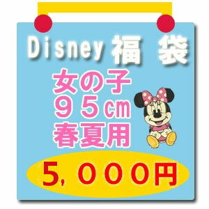 ディズニー子供服 シャツ ミニーマウスほか サイズ 95 女の子 Disney ディズニー 福袋 女の子用95cm 春夏用5 Ma2kaze Jp