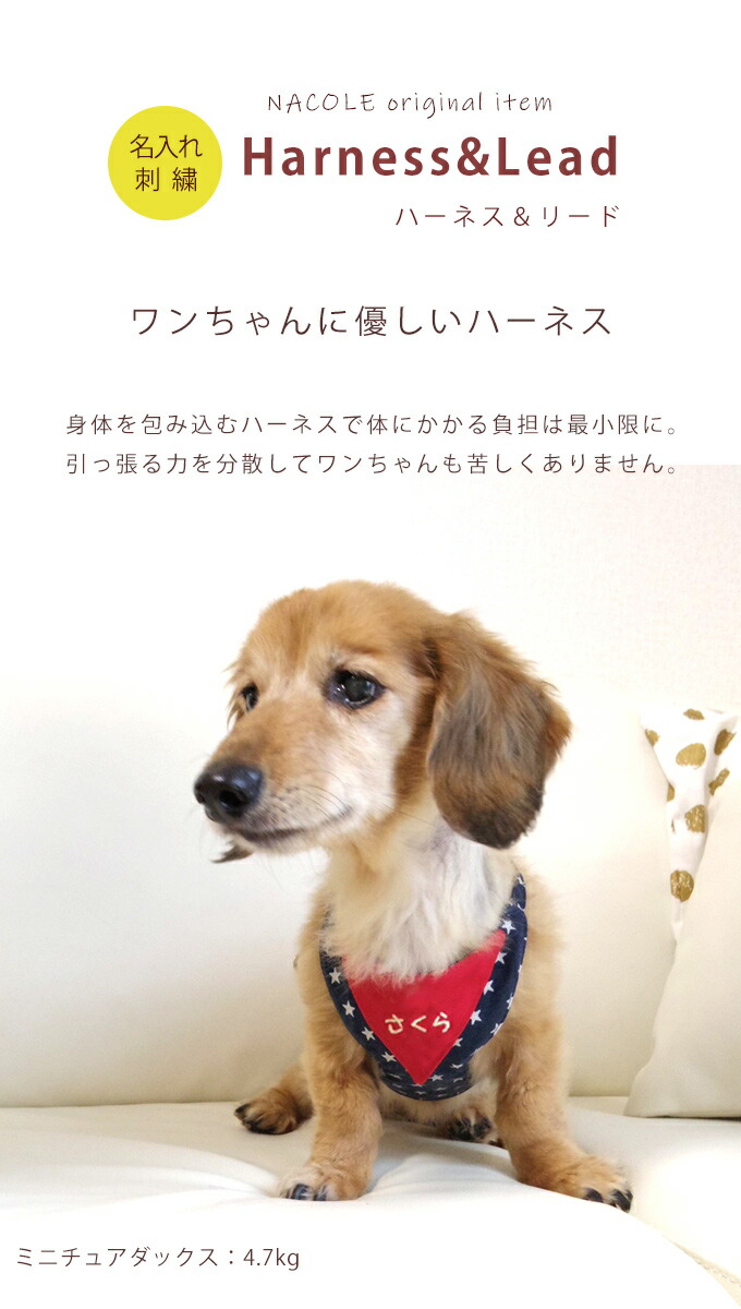 楽天市場 お名前無料刺繍 ハーネスリード セット 犬具 胴輪 犬 小型犬 お散歩 名入れ 刺繍 ハーネス リード おしゃれ かわいい ネコポスok 日本製 M便 1 2 Dh ママ ベビーのお店 ファムベリー