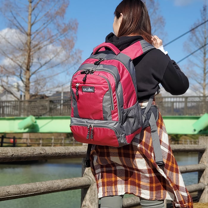 特典付き デイバック l メンズ レディース 大きめ 大容量 リュックサック Hi Ds リュック バックパック 旅行 アウトドア キャンプ 遠足 通勤 通学 男女兼用 シンプル おしゃれ カジュアル ポケット 収納 黒 緑 赤 ブラック グリーン レッド 送料無料 Rvcconst Com