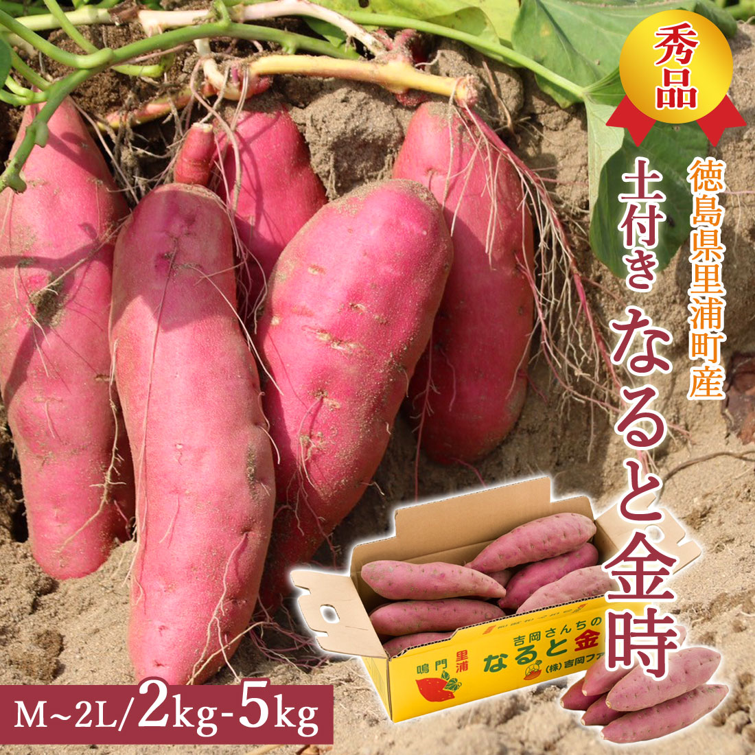 楽天市場】【産地直送】 さつま芋 鳴門金時 秀品 土付き 2kg 3kg 5kg