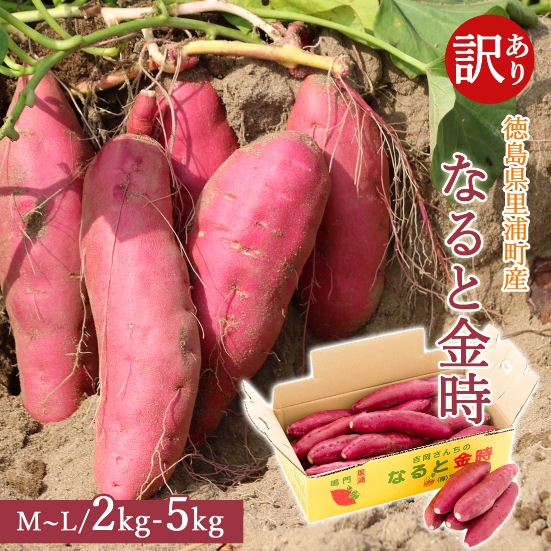 さつまいもページ yp-yof-nk-b0.jpg